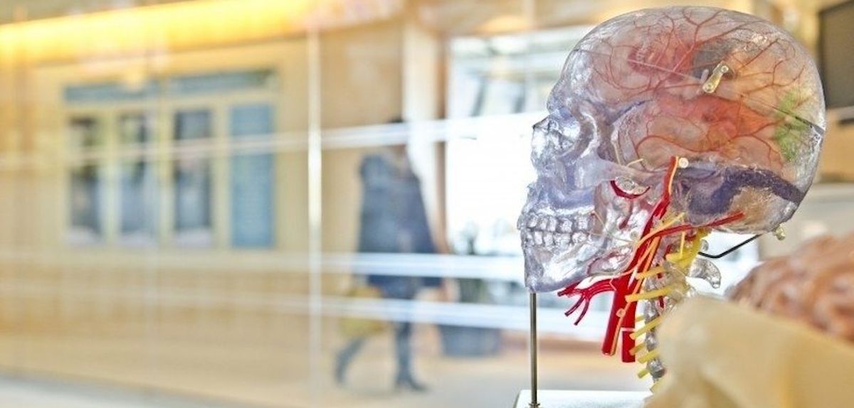 Mobilní aplikace pro rozvoj